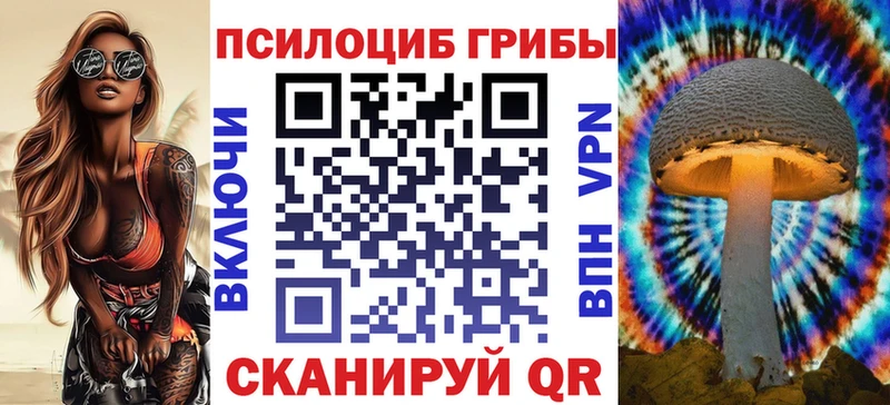 купить  сайты  Хабаровск  Псилоцибиновые грибы мицелий 